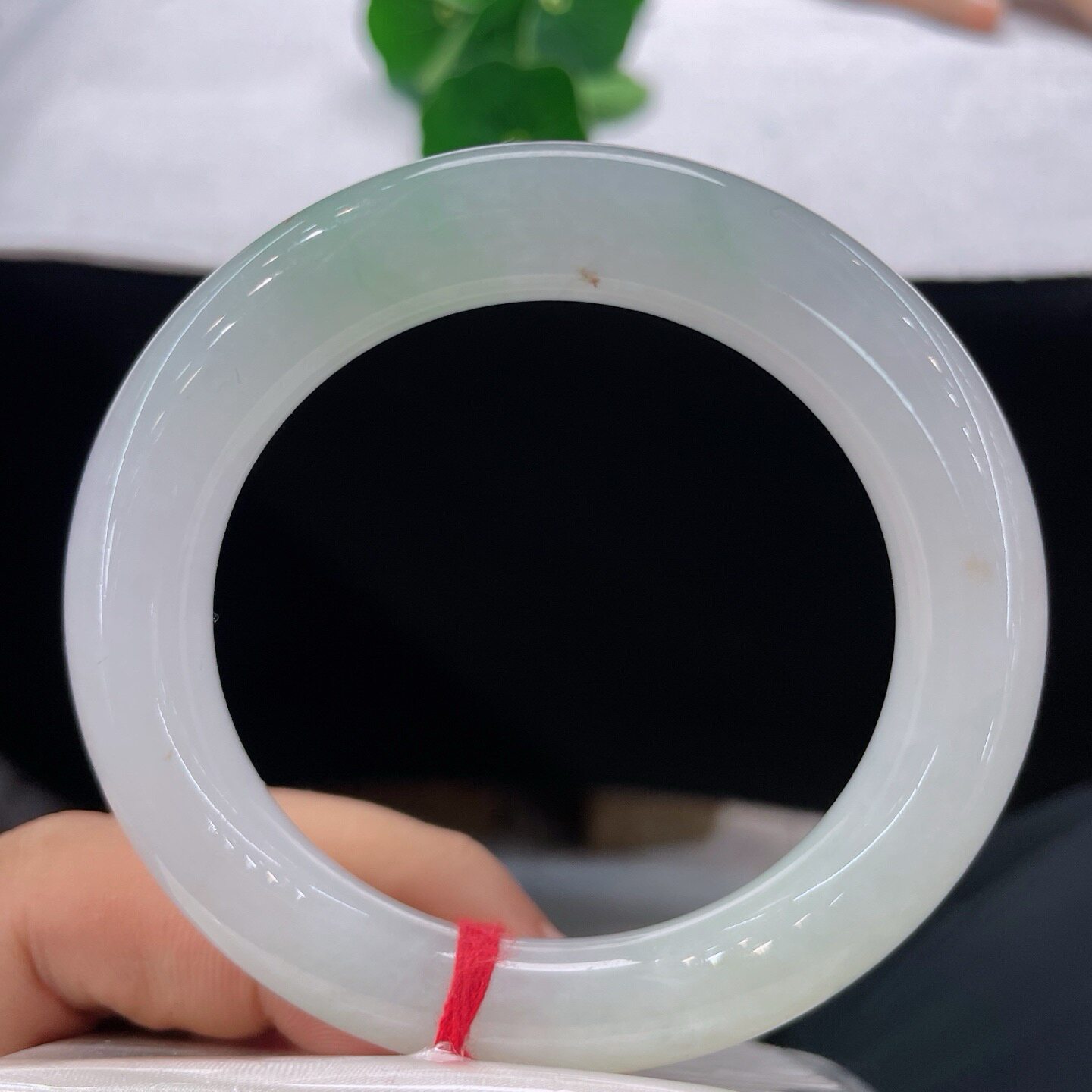 天然A货翡翠手镯乳白飘花54.6mm缅甸老坑浅绿玉镯圆条镯子带证书