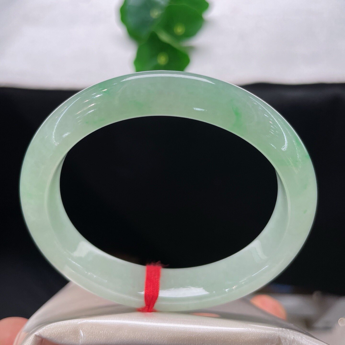 天然A货翡翠贵妃手镯乳白飘花56.6mm缅甸老坑玉镯浅绿镯子正圈54