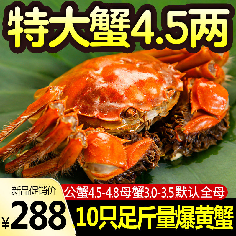 活蟹现货大闸蟹螃蟹礼盒阳澄湖镇