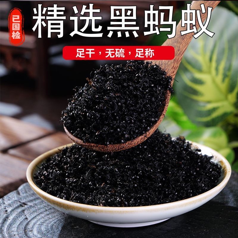蚂蚁中药材黑蚂蚁野生山蚁黑多刺蚁中药材泡酒养生500克