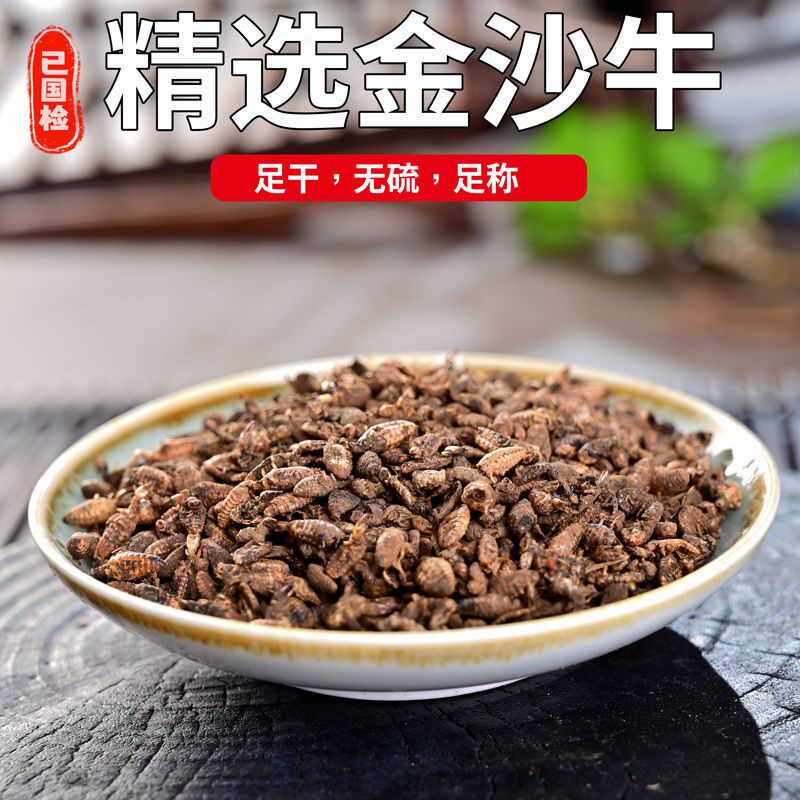 产地直销金沙牛广西野生正品蚁狮倒退虫中药材金砂牛