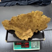 西藏百年野生桑树桑黄 百年大块西藏桑树桑黄灵芝 重量2148克