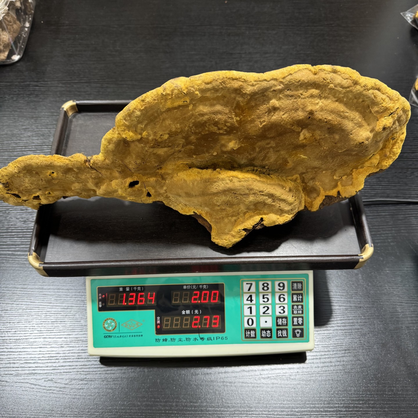 西藏野生桑树桑黄灵芝