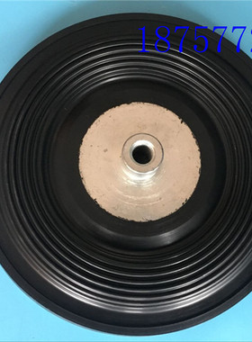 德国赛诺SERA计量泵隔膜片GMBM 174-4 CFW 膜片R410.2 -700E