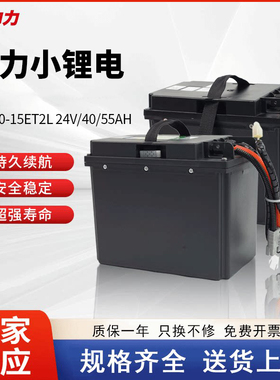 中力EPT20-15ET2L叉车锂电池24V40AH60动力蓄电池20EAT仓储车锂电