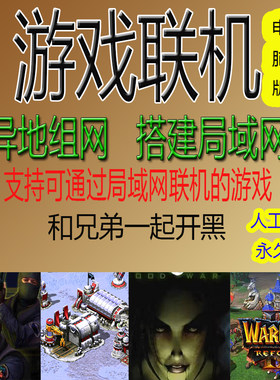 异地组网搭建局域网电脑PC游戏文明6联机辅助魔兽星际反恐精英CS