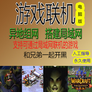 异地组网搭建局域网电脑PC游戏文明6联机辅助魔兽星际反恐精英CS