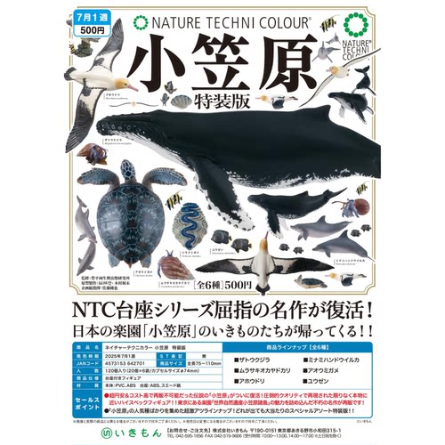 虾壳社 现货日本IKIMON扭蛋 NTC小笠原 海洋生物摆件 特装版 鲸鱼