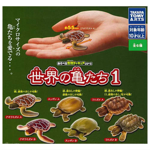 虾壳社 现货日本T-ARTS扭蛋 可玩生物手办世界的乌龟门 图鉴 摆件