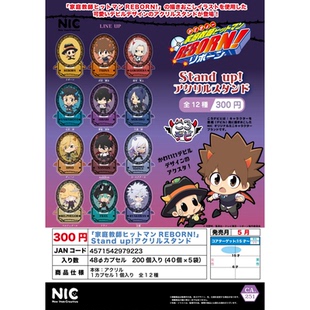 万圣立牌 虾壳社 现货日本NIC扭蛋 家庭教师Q版 三次再贩 泽田纲吉