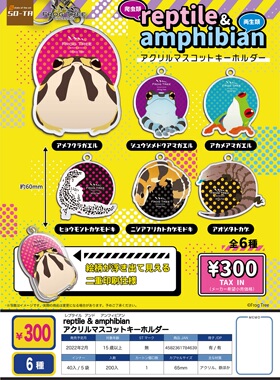 虾壳社 现货日本SO-TA扭蛋 爬宠亚克力挂件 盲盒手办守宫蜥蜴青蛙