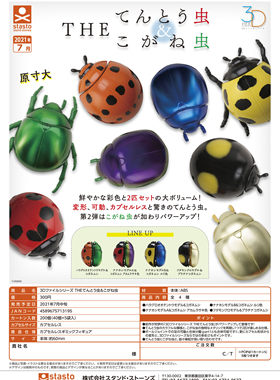 现货昆虫标本瓢虫金龟子合集甲虫