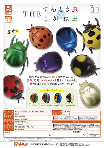 现货昆虫标本瓢虫金龟子合集甲虫