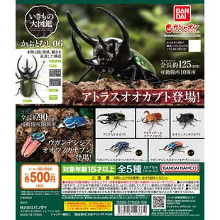 现货日本BANDAI扭蛋 第六弹 万代 甲虫合集 仿 生物大图鉴 虾壳社