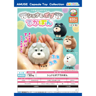 虾壳社 定金日本AMUSE扭蛋 掌心小动物 雪纳瑞 毛绒 圆滚滚 可爱