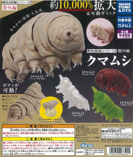 虾壳社 现货日本T-ARTS扭蛋 水熊虫 原色图鉴百科番外篇 可动生物