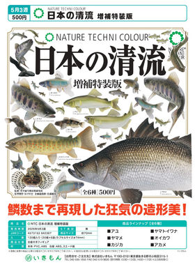 虾壳社 现货日本IKIMON扭蛋 NTC日本的清流特装版 鱼 摆件 不可食