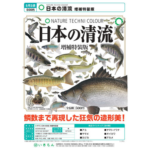 虾壳社 现货日本IKIMON扭蛋 NTC日本的清流特装版 鱼 摆件 不可食