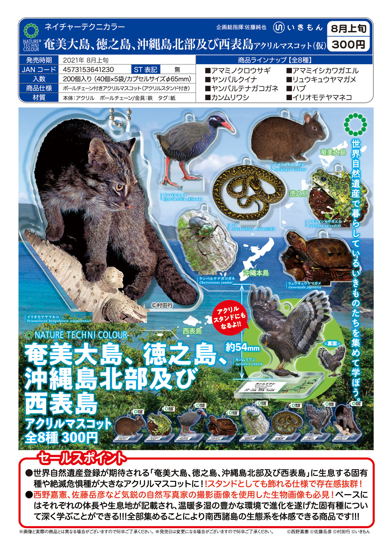 现货日本IKIMON扭蛋 乌龟模型摆件 兔子蟾蜍猫 日本的动物亚克力