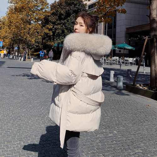 浙宝105 ZB105105-1818 浙宝105 ZB105105-1818