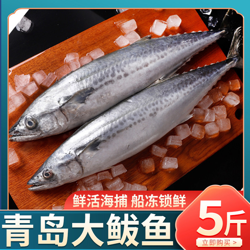 青岛大鲅鱼新鲜活鲐鲅鱼海捕马鲛鱼整条冷冻青花鱼马友鱼海鲜5斤_虎窝淘