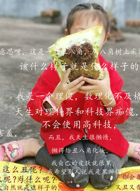 我很丑，但我很香！不熏妆天然晒干的八角大料土山货无硫淳朴原味