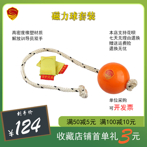 狗狗带绳玩具球可吸附磁力球套装