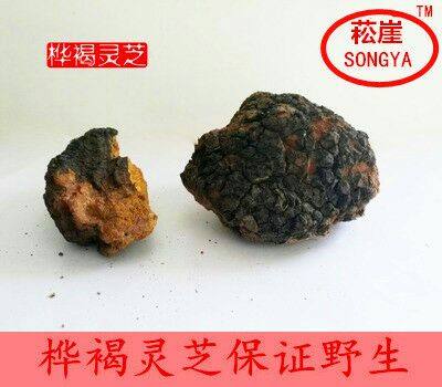 菘崖纯野生灵芝天然桦褐灵芝桦褐孔菌500g包邮在类目 传统滋补营养品, 灵芝, 整枝灵芝中 - 来自Buy2taobao.com提供专业的淘宝代购服务