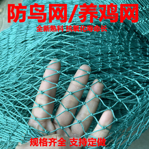定制聚乙烯养殖网大棚果园鱼塘果树防鸟网天网户外养鸡拦鸡防护网