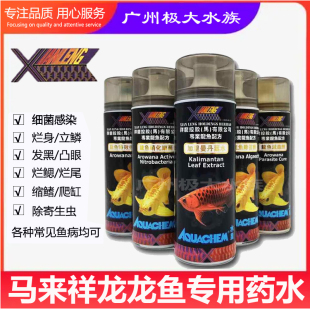 马来西亚祥龙水皇龙鱼药水族水质安定剂硝化细清毒灵清菌灵清虫剂
