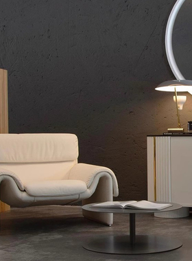 瑞士De Sede DS-2011扶手椅客厅单人多人沙发布艺皮质定制休闲椅