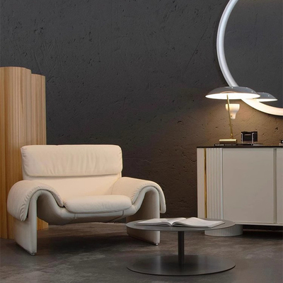 DeSede皮质沙发扶手椅可定制