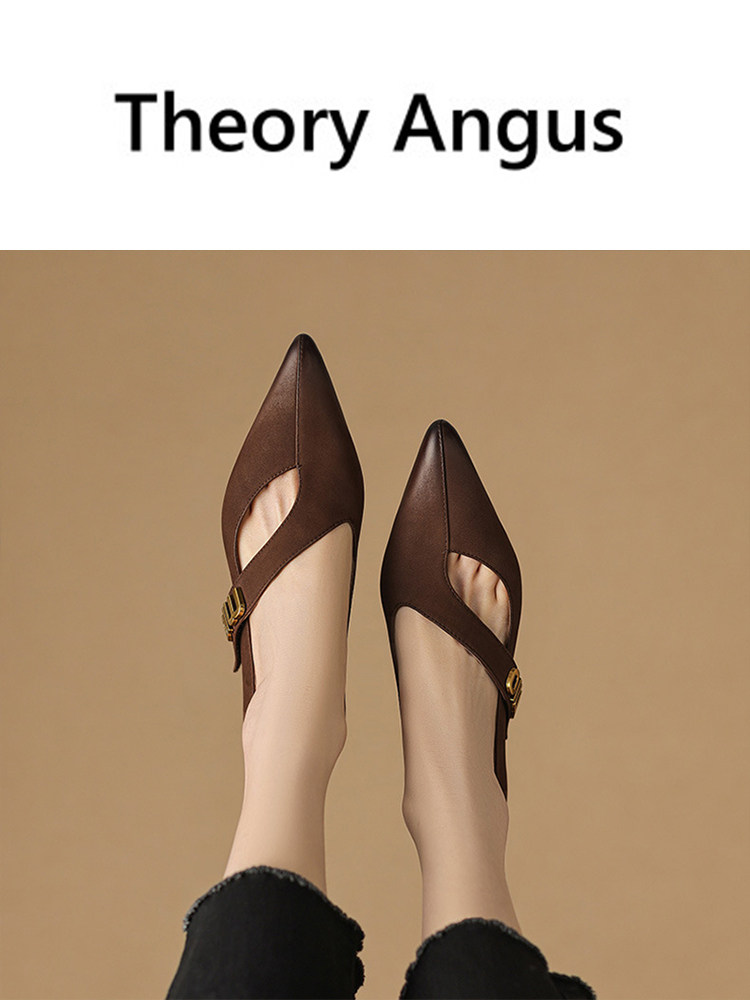 THEORY ANGUS 복고풍 가죽 두꺼운 뒤꿈치 얕은 입 새로운 지적 발가락 프랑스 전 경기 편안한 부드러운 가죽 전문 신발