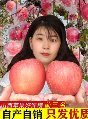 山西运城苹果冰糖心红富士