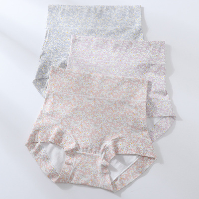 2025年新款复古小清新碎花内裤
