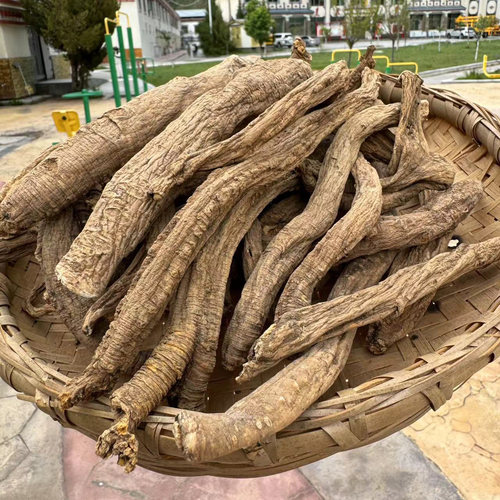 西藏直发西藏野生党参
