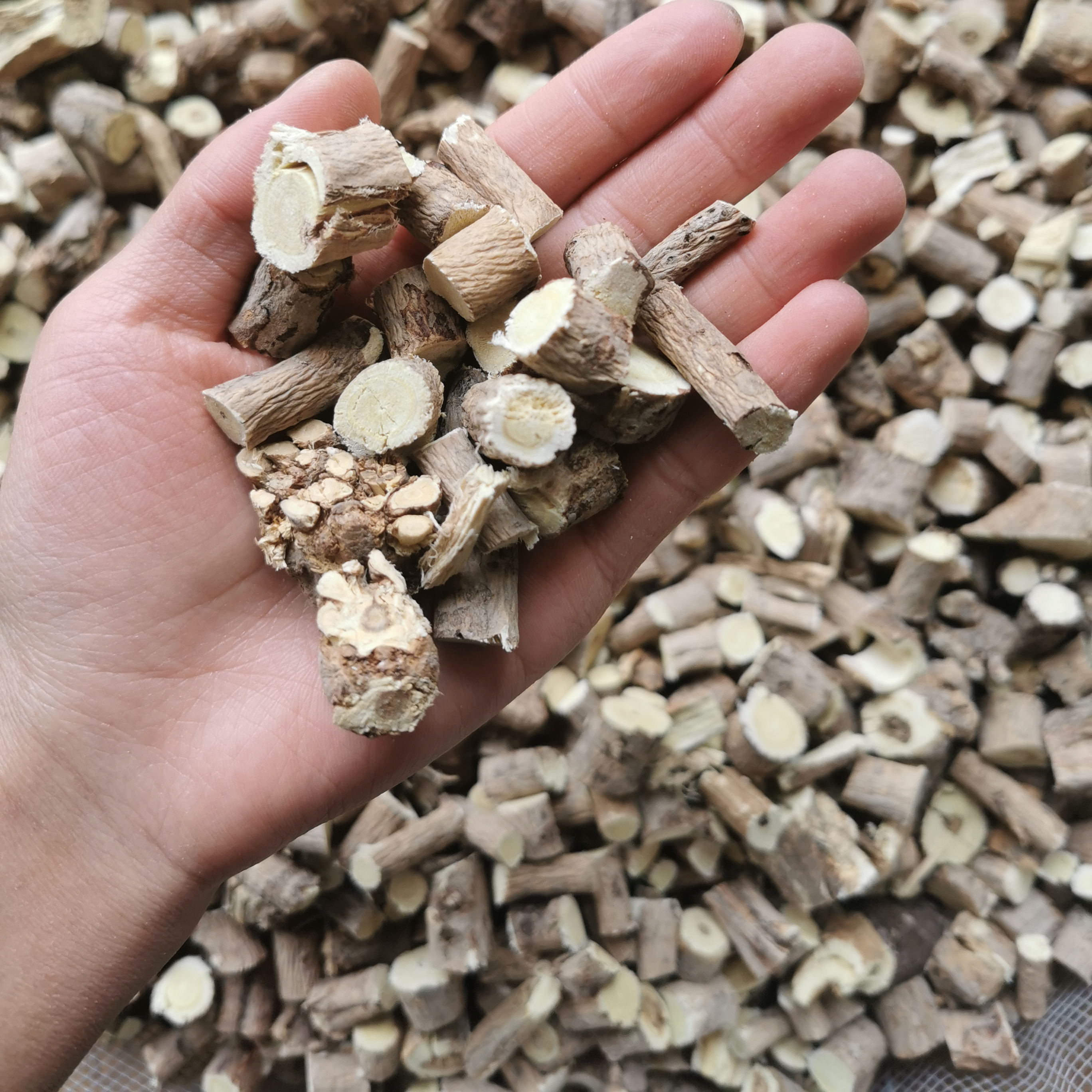 正宗西藏黄芪250g高原自然晾晒正品无硫中药材非甘肃黄芪