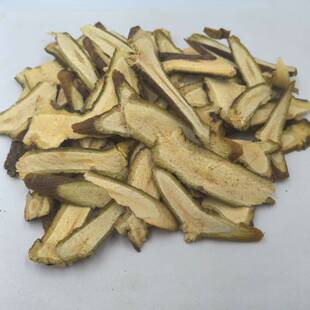 大寄生 野生无硫桑寄生广寄生大槲寄生 中药材批发 500g克包邮