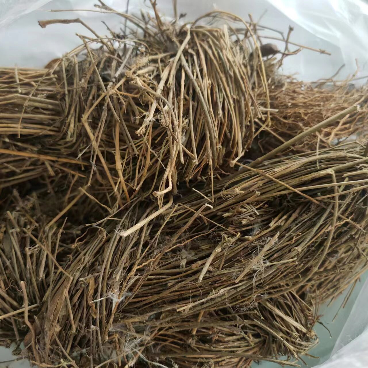 寮刁竹 全草 2斤包邮 辽刁竹 徐长卿 逍遥竹 遥竹逍 500g克