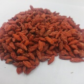 中药材农产品供应 枸杞子 500g克 杞子 苟杞枸杞构杞 拍2斤 包邮