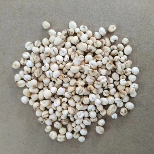特小川贝0.2小川贝母500g