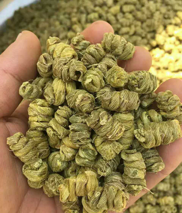 铁皮石斛 云南产地直销 中草药材供应 胶质风斗石斛 500g克包邮