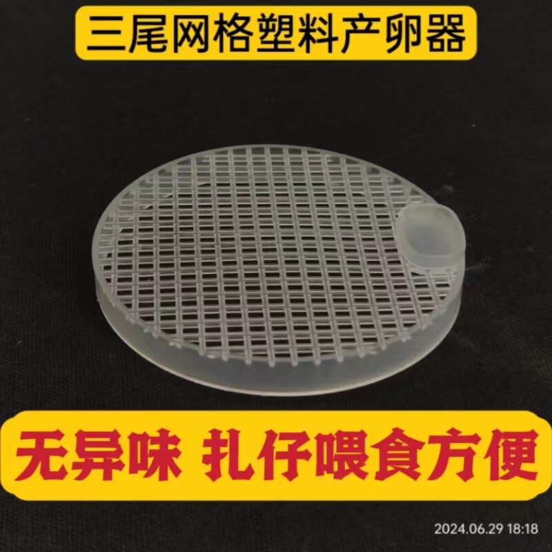 蟋蟀蛐蛐三尾网格塑料产卵器油葫芦黑虫蝈蝈三尾瓷罐配套