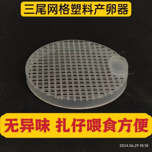 蟋蟀蛐蛐三尾网格塑料产卵器油葫芦黑虫蝈蝈三尾瓷罐配套