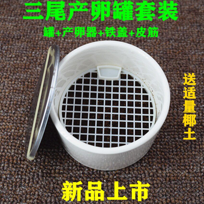 新款三尾罐套餐母蟋蟀母蛐蛐母油葫芦之用配产卵器送椰土蟋蟀用具