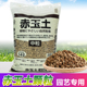 日本进口赤玉土三本线正品 多肉颗粒土盆景专用爬宠铺面硬质营养土