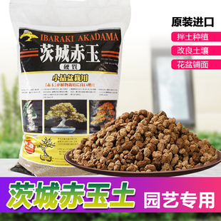 茨城赤玉土日本进口二本线颗粒土多肉盆景专用铺面拌土鱼缸造景