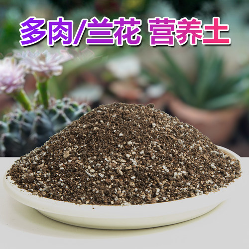 一加十多肉专用铺面扦插营养基质