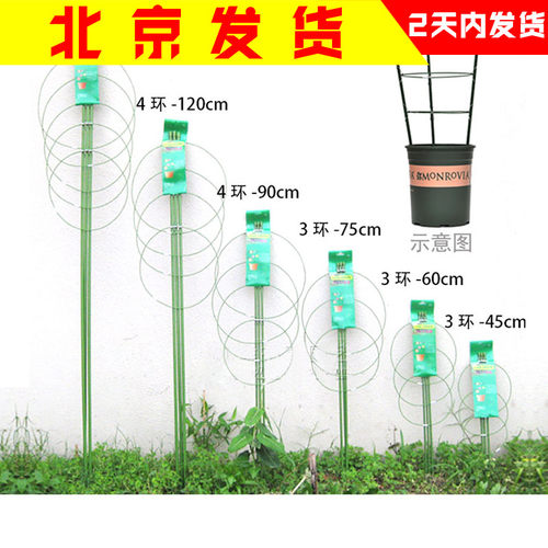 爬藤架园艺支架铁艺圆环支柱室内外月季葡萄架绿萝植物攀爬架花架