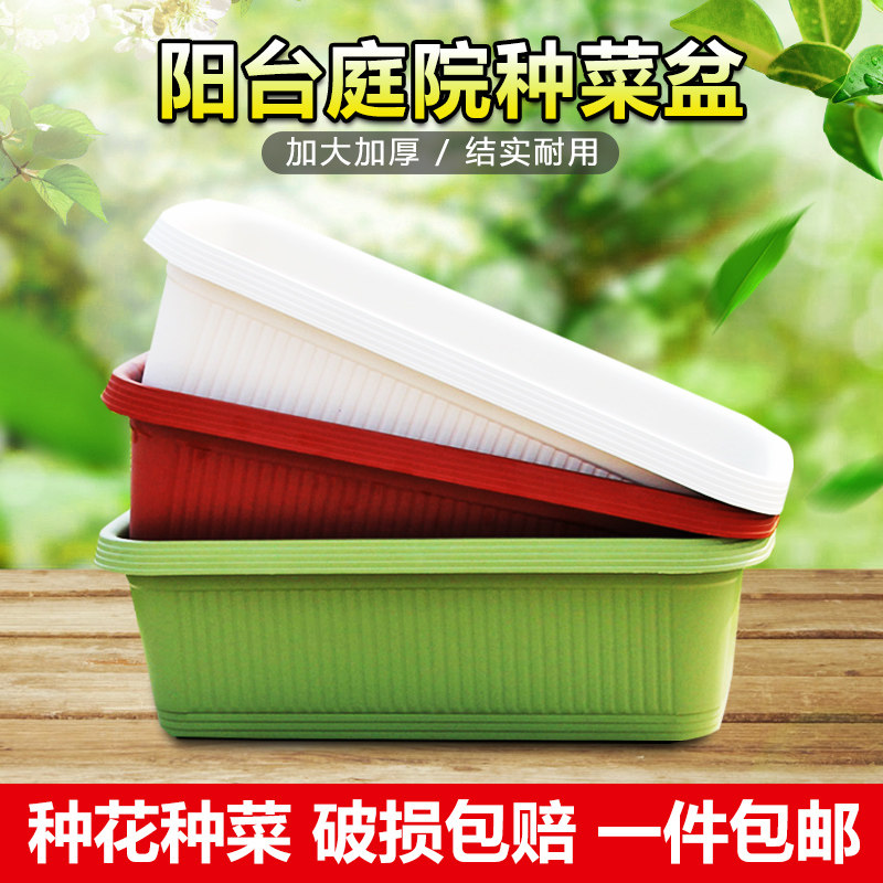 种菜盆阳台庭院专用免托盘菜盆长条加厚蔬菜种植箱耐用树脂花盆,鲜花速递/花卉仿真/绿植园艺,花盆,淘宝优惠券,粉丝福利购,淘宝优惠卷